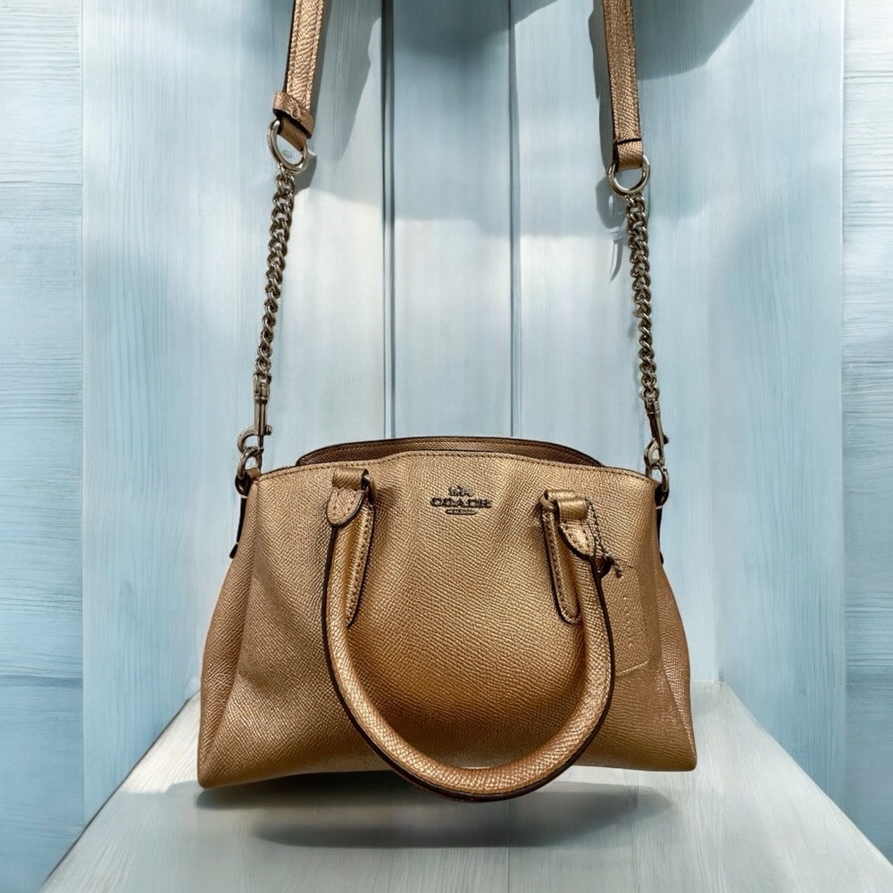 Coach Mini Sage Carryall Rose Gold metallic silver hardware